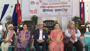 हेटौँडा उपमहानगरपालिका