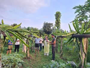 Hetauda 14 Krishi