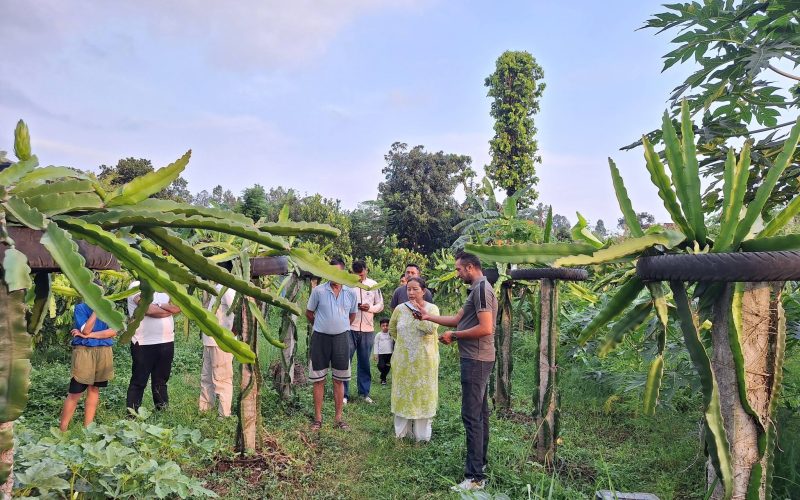 हेटौँडामा युवा उद्यमीलाई हौसला प्रदान गर्न नगर प्रमुखको अनुगमन